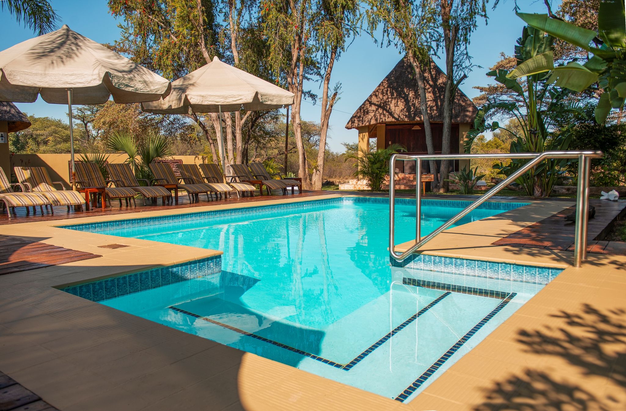 A swimming pool with a diving board, lounge chairs, and umbrellas.