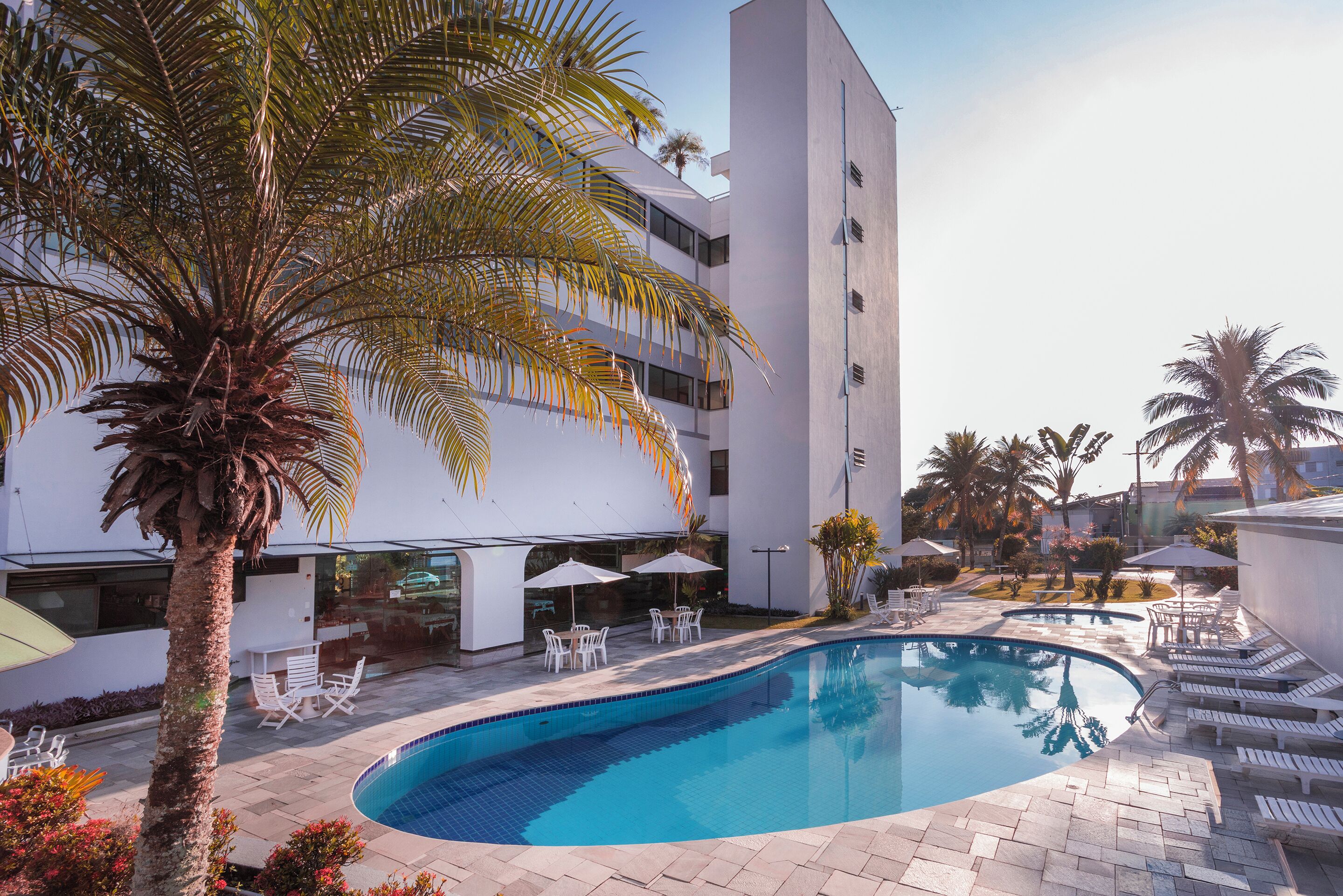 A swimming pool with lounge chairs, a palm tree, and a modern building with balconies.