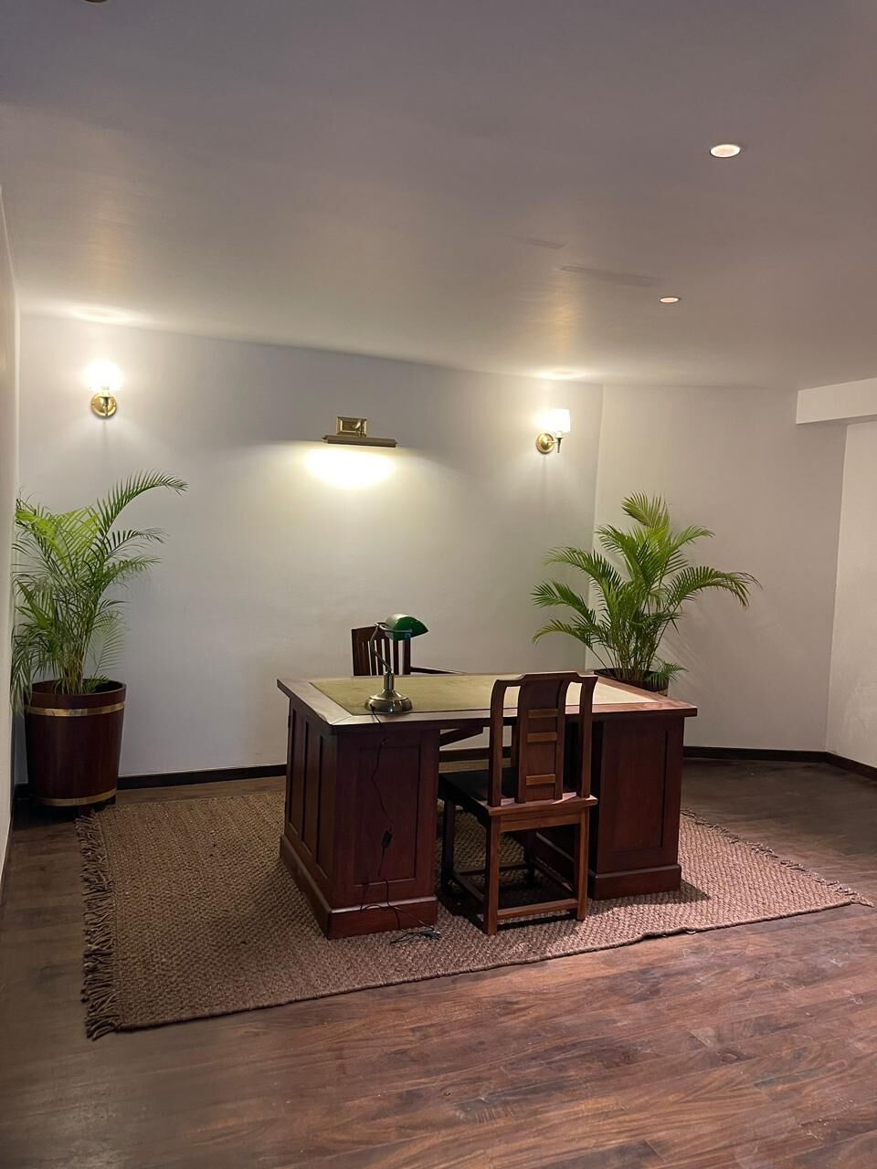 Un espace repas comprenant une table et des chaises en bois, deux plantes en pot et un système d’éclairage fixé au mur.