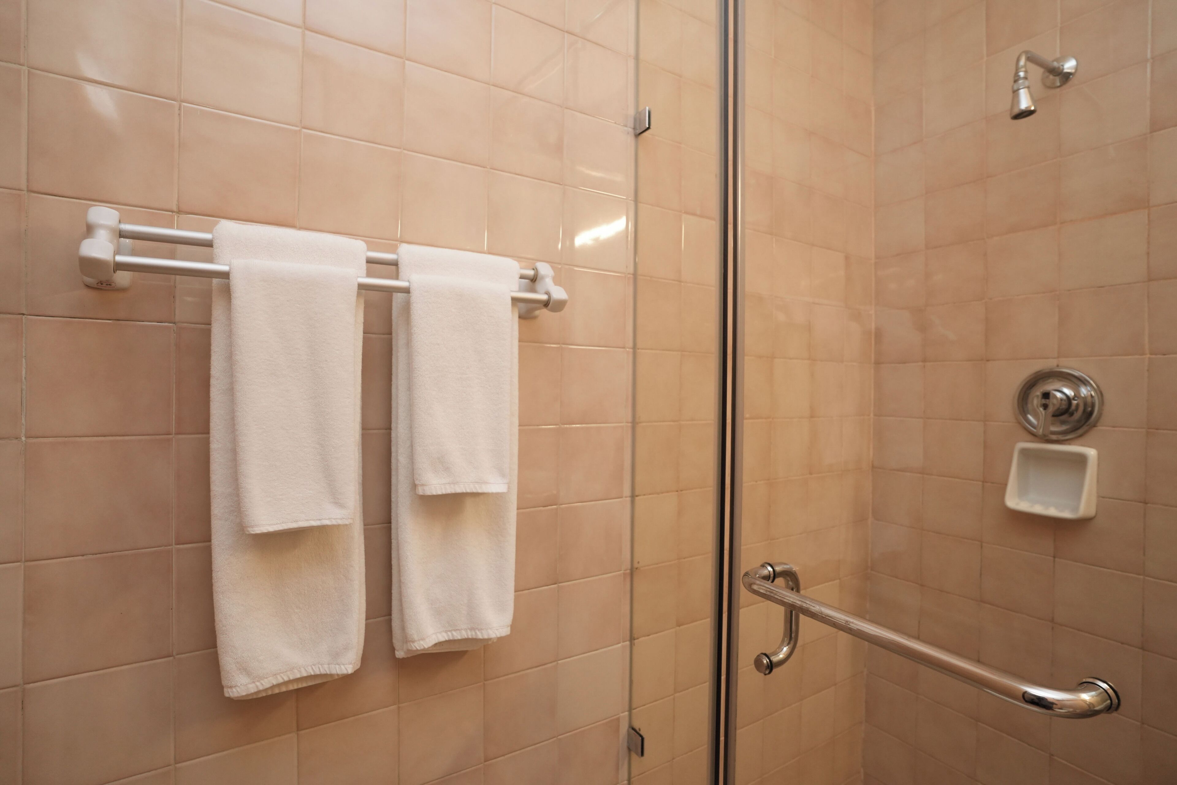 A shower area with a glass door, a towel rack with two towels, a soap dish, and a grab bar.