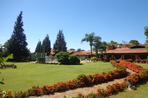 Vista desde la propiedad