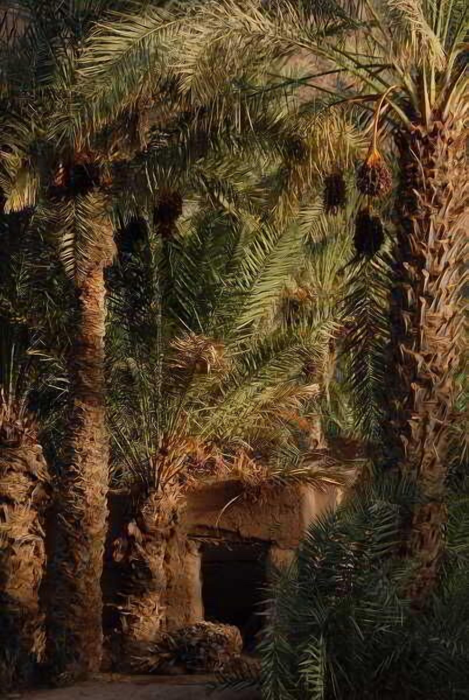 อุปกรณ์กีฬา