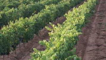 Servicio de la propiedad