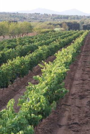 Comodidades da propriedade