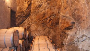 A cellar with wooden barrels and a brick ceiling.