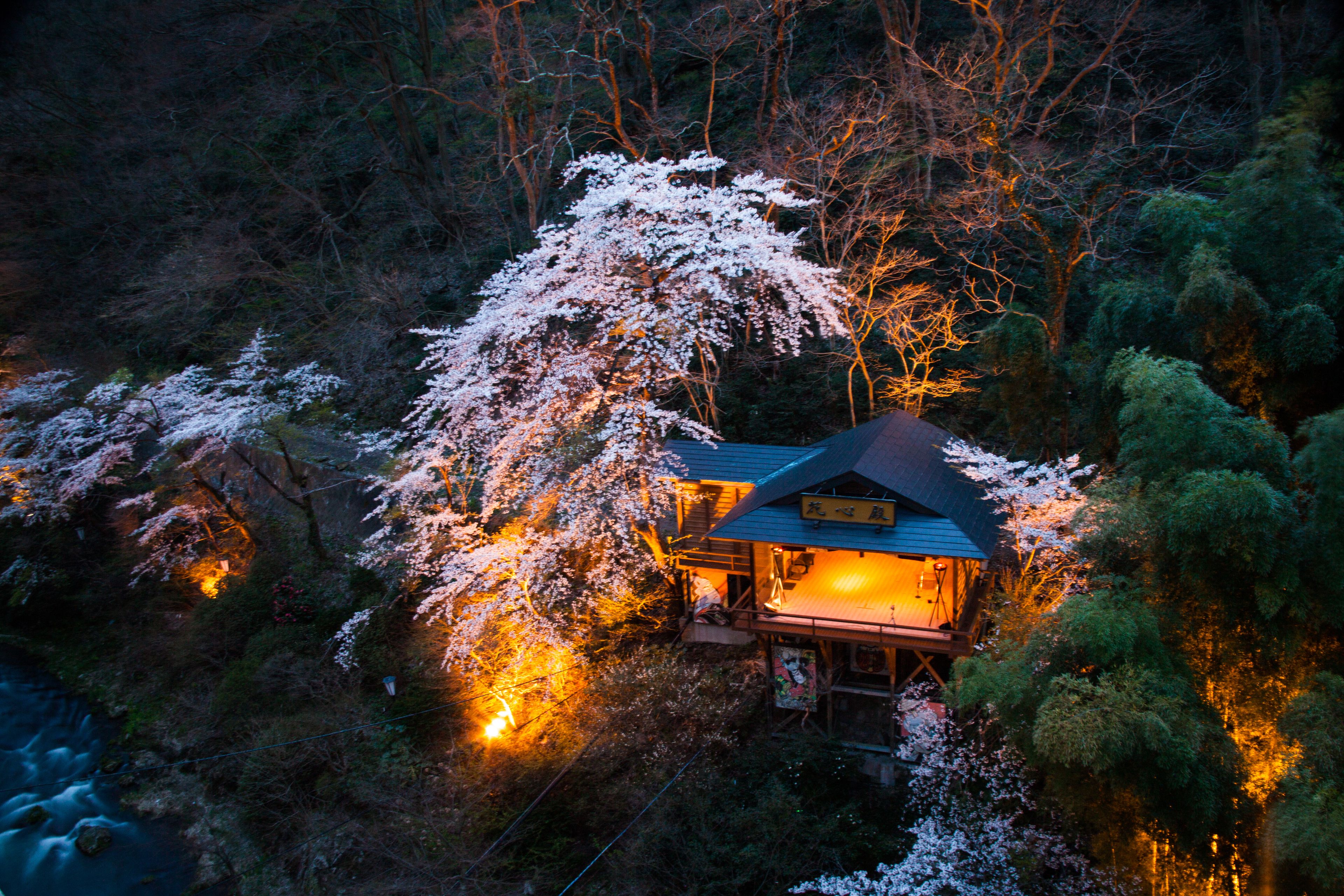 A traditional Japanese house surrounded by trees with illuminated windows.