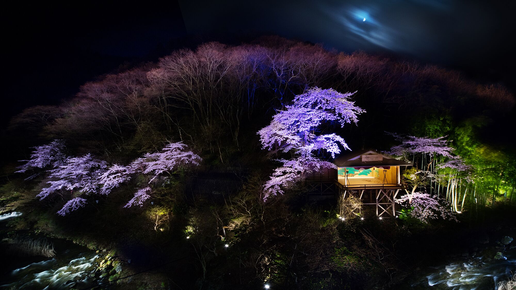A treehouse with a wooden deck and a small roof, surrounded by trees with purple flowers.