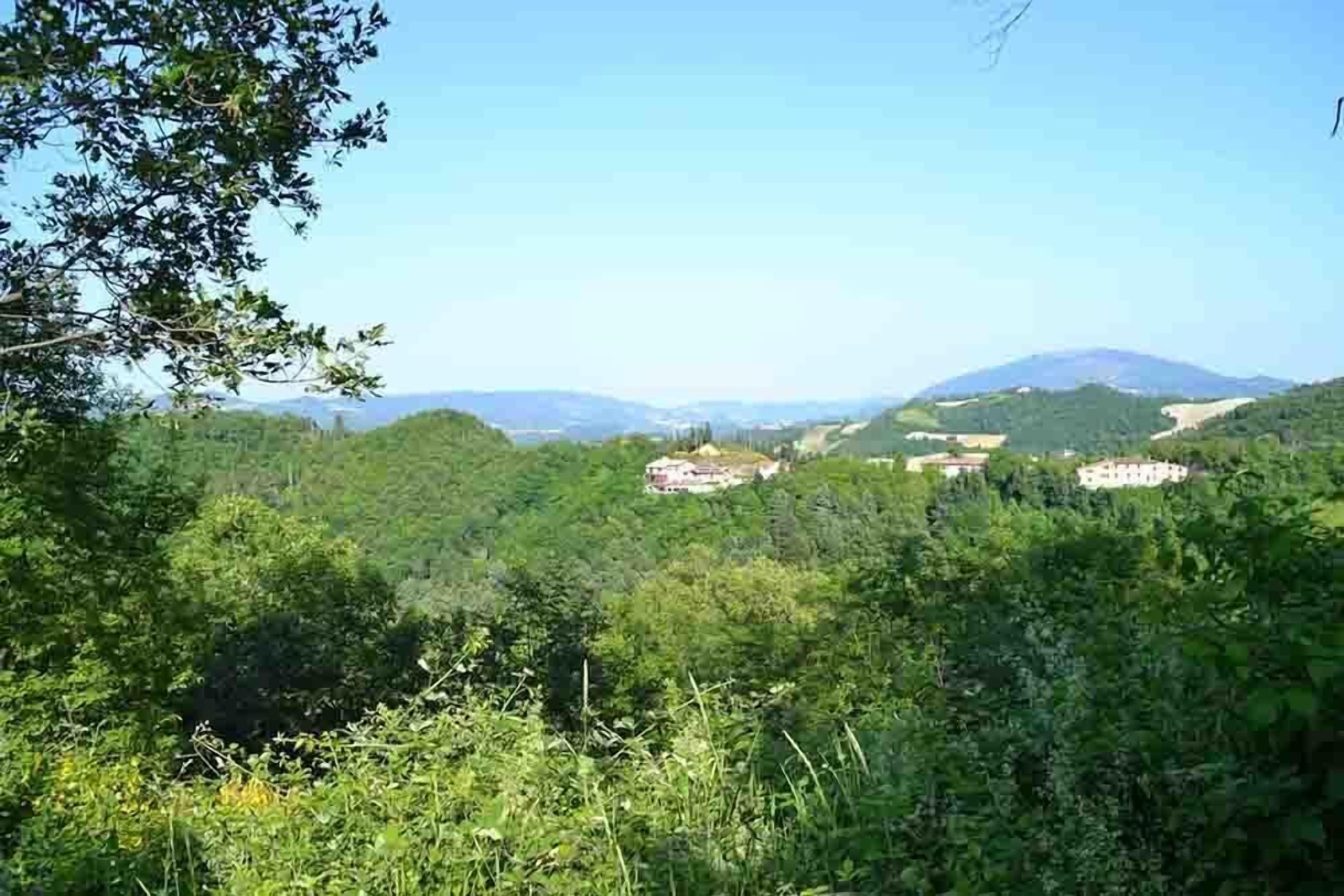 Üppige, grüne Landschaft mit einem Berg im Hintergrund und einigen Gebäuden in der Ferne.