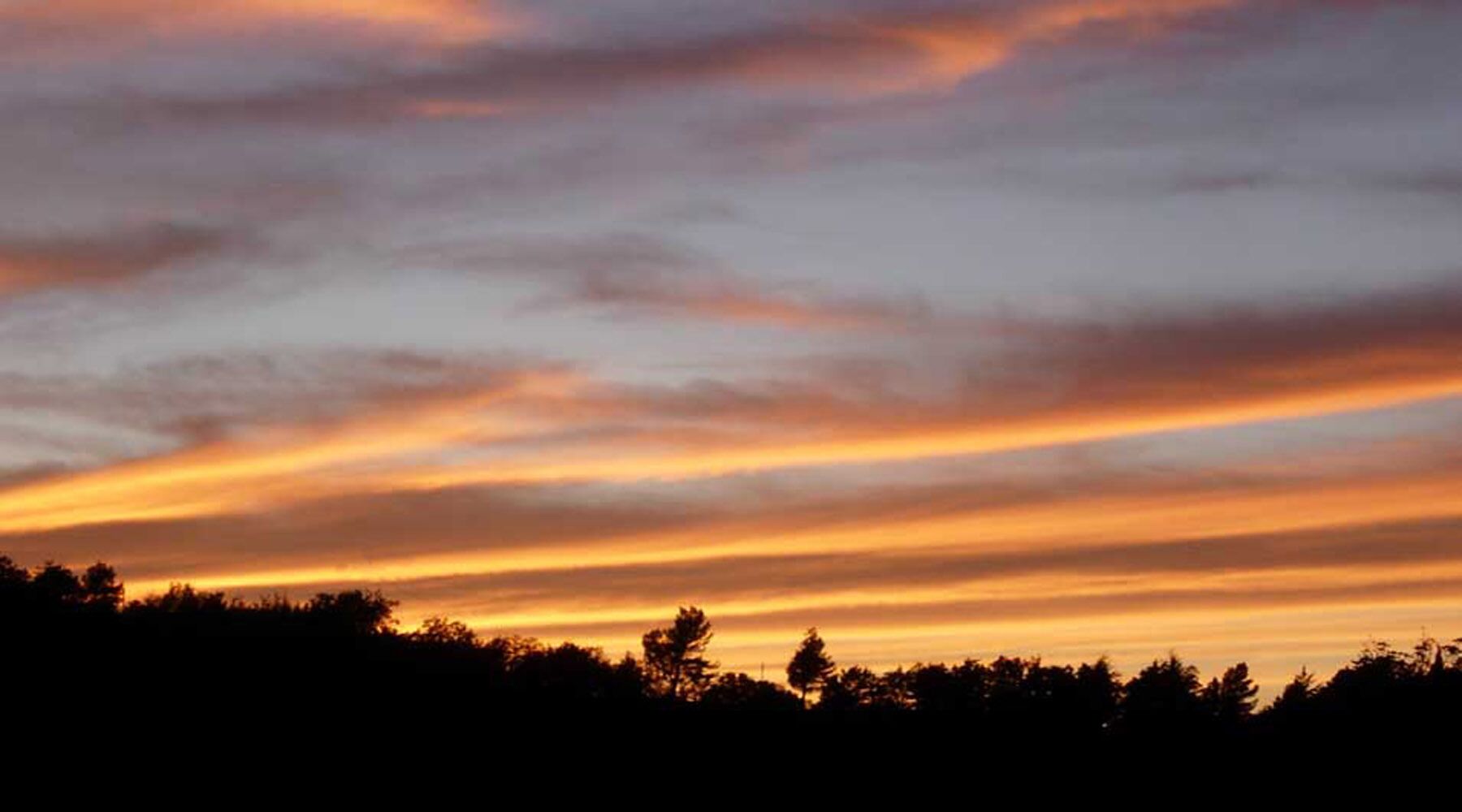 A sunset over a forested area with a clear sky.