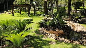 Een tuin met een houten pergola, een vijver met stenen en diverse planten.