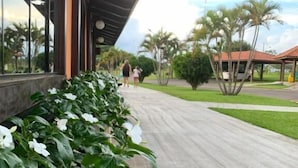 A pathway lined with white flowers, leading to a covered area with a view of palm trees and a building with large windows. - Pousada Vivá (Chapada dos Guimarães)