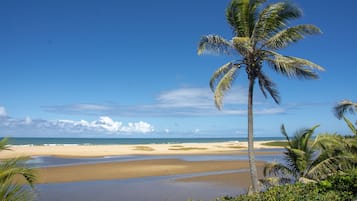Di pantai, bola tampar pantai