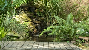 Un jardín con un estanque, rocas y helechos.