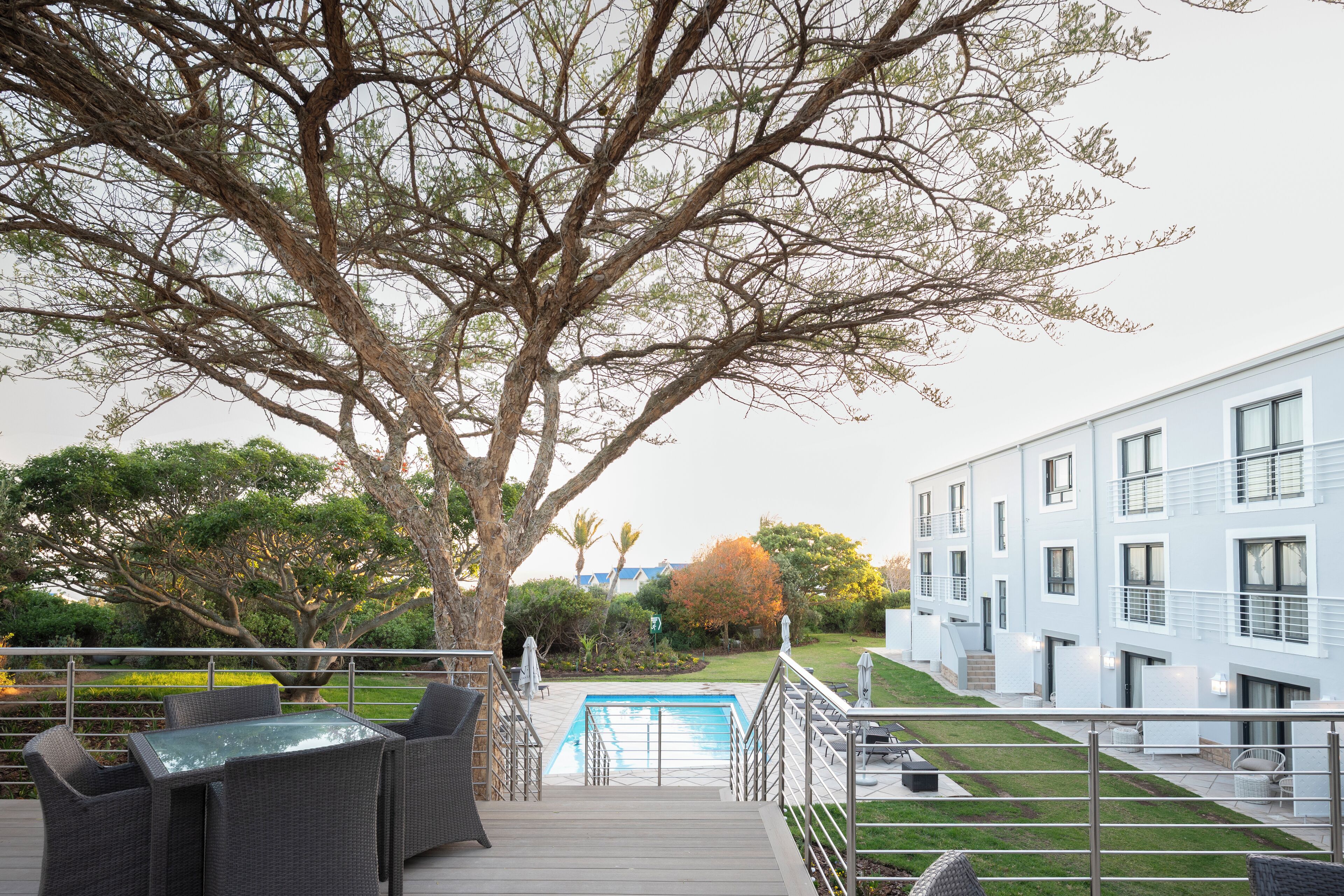 A deck with outdoor furniture overlooking a swimming pool, a building with balconies, and a large tree in the background.