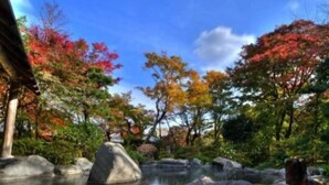 A serene garden with a clear pond, surrounded by autumn-colored trees and large rocks.