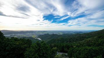 Panoramablick auf eine gebirgige Landschaft mit dichtem Wald, einem Fluss und einer fernen Stadtansicht unter teils bewölktem Himmel.