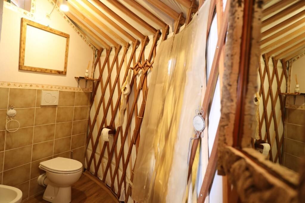 Hair dryer, bidet, towels