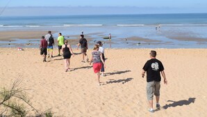 A sandy beach with people walking and standing, and the ocean in the background.