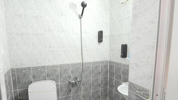 Een badkamer met toilet, douche en wastafel.