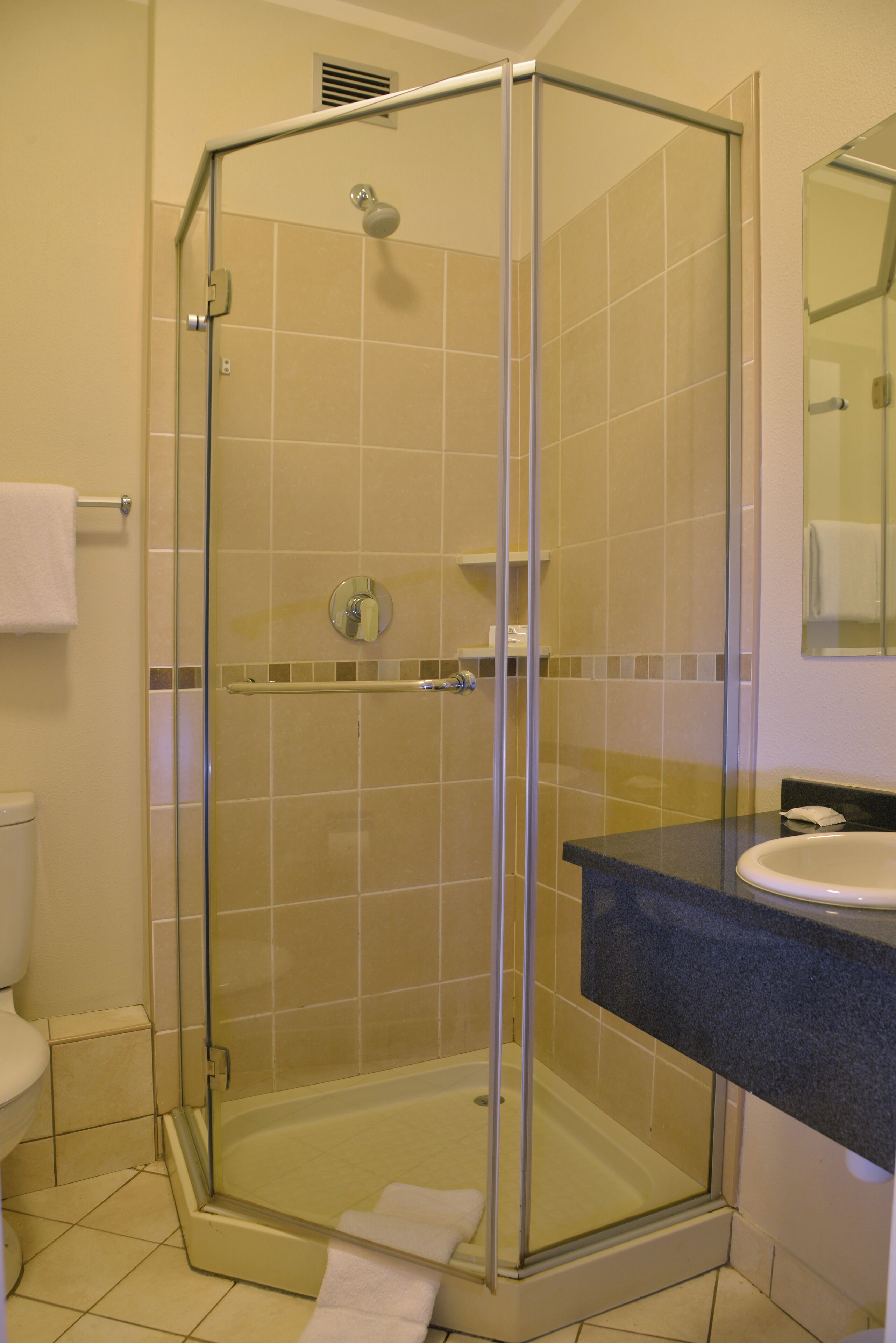 shower, towels, soap, toilet paper