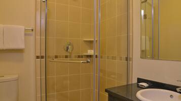 Un baño con ducha de vidrio, inodoro y lavabo con espejo.