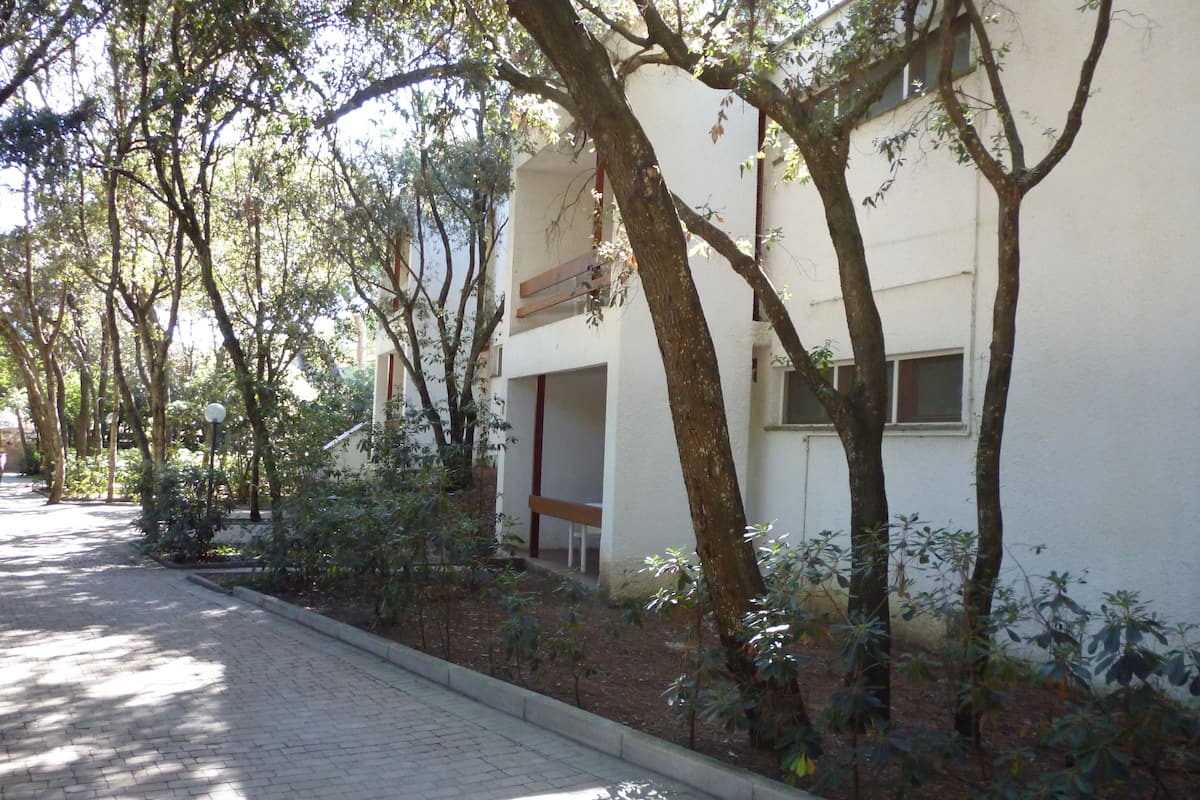 标准公寓, 2 间卧室 | 床单