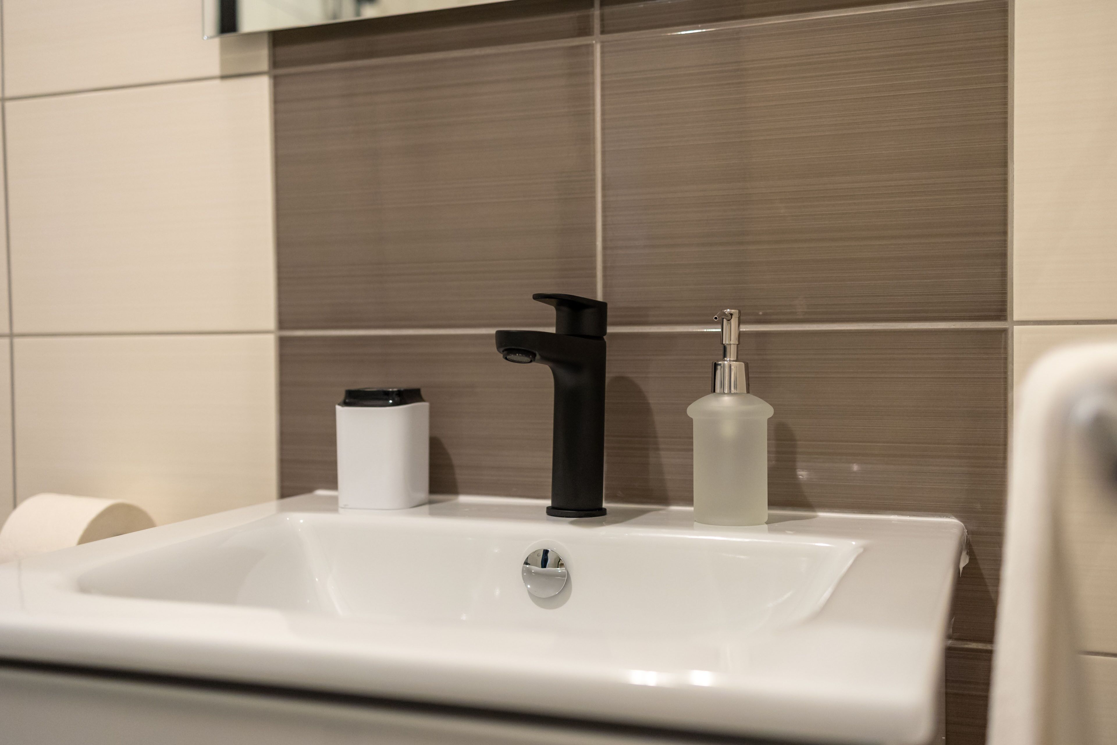 A bathroom sink with a black faucet, a soap dispenser, and a toilet paper holder.