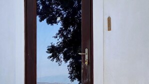 A potted plant with red flowers in front of a building with a stone staircase and a door. - Archontiko Stafylopati (Volos)