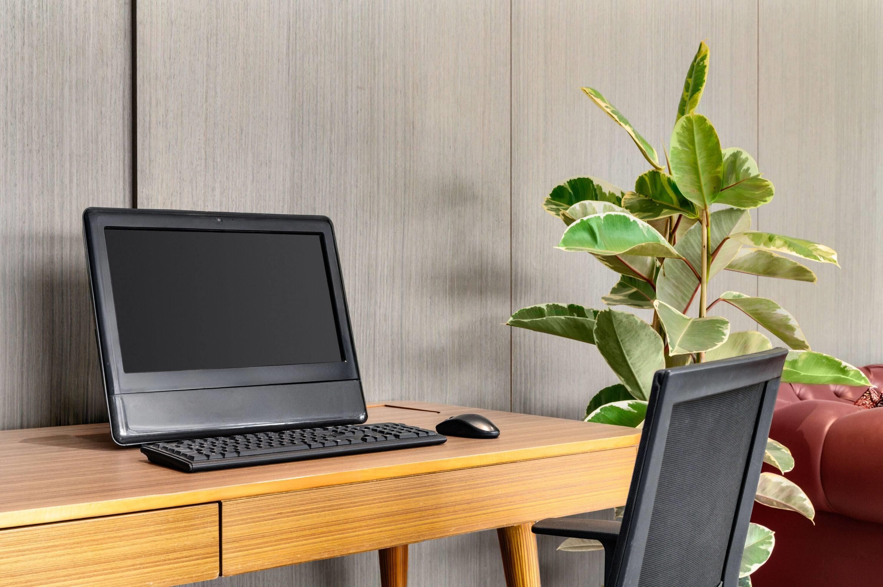 A laptop on a wooden desk with a plant beside it.