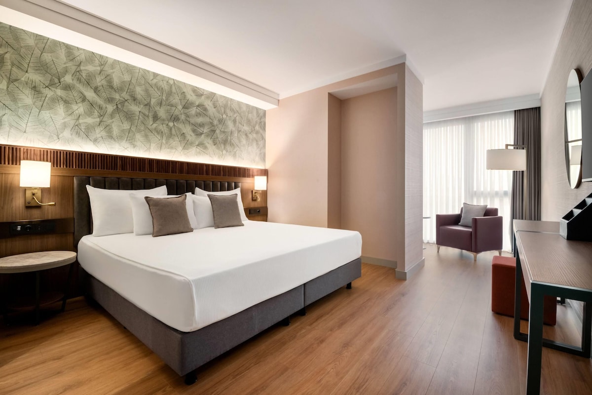 Habitación Confort, 1 cama King size | Minibar, caja de seguridad en la habitación y escritorio