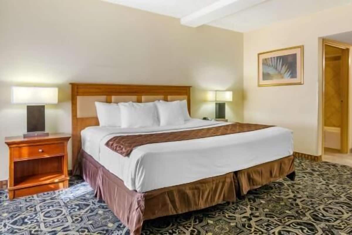A hotel room with a large bed, two bedside tables, a nightstand, a patterned carpet, and a framed picture on the wall.