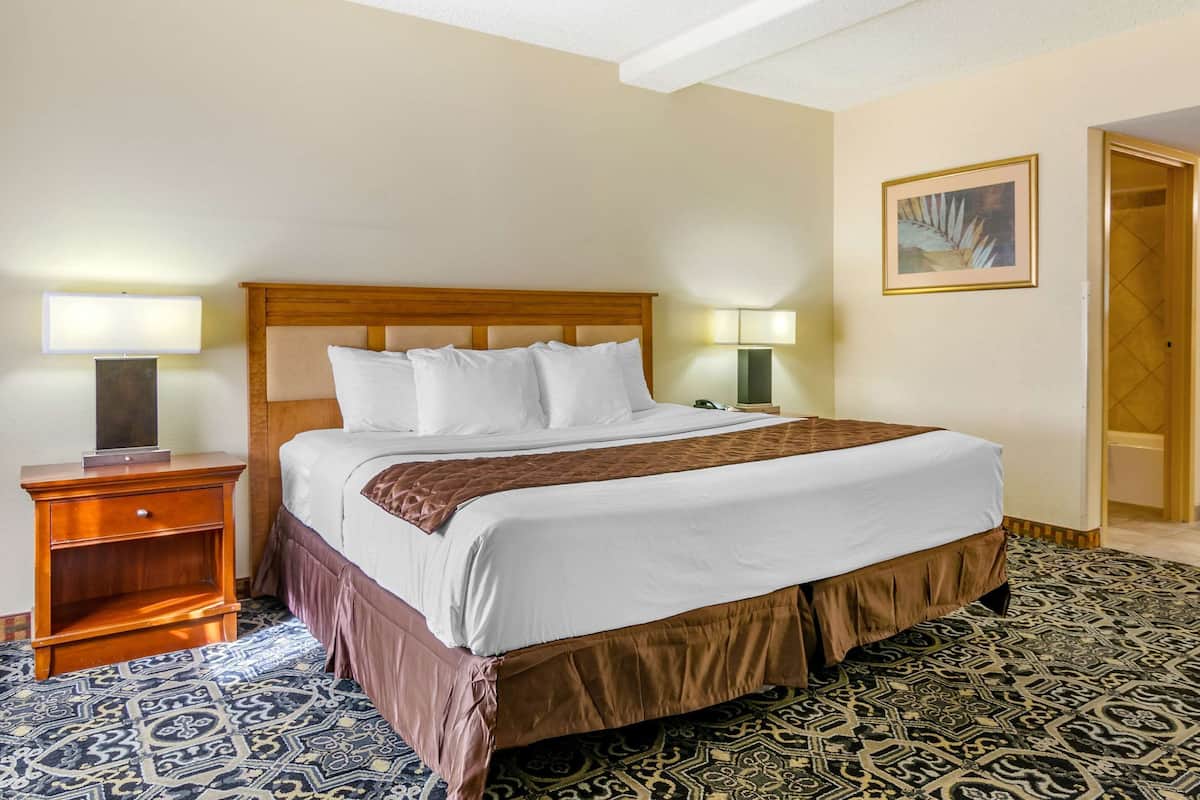 A hotel room with a large bed, two bedside lamps, a wooden nightstand, patterned carpet, and a framed picture on the wall.