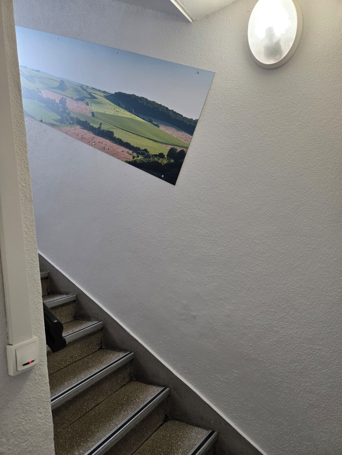 A staircase with a textured wall and a framed landscape photograph.