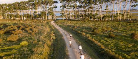 Un sendero de tierra con ciclistas.