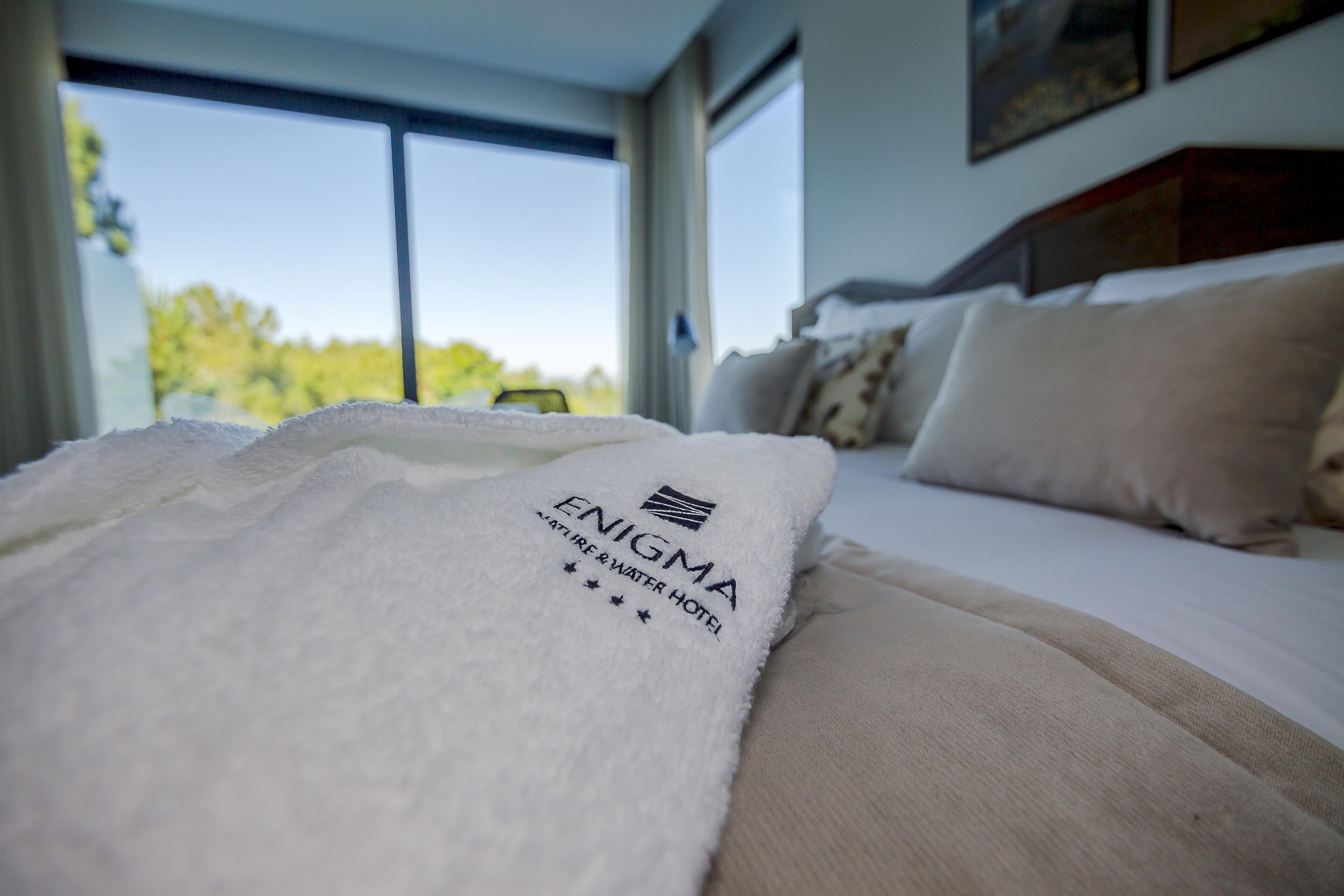 deluxe double or twin room, mountain view | mountain view