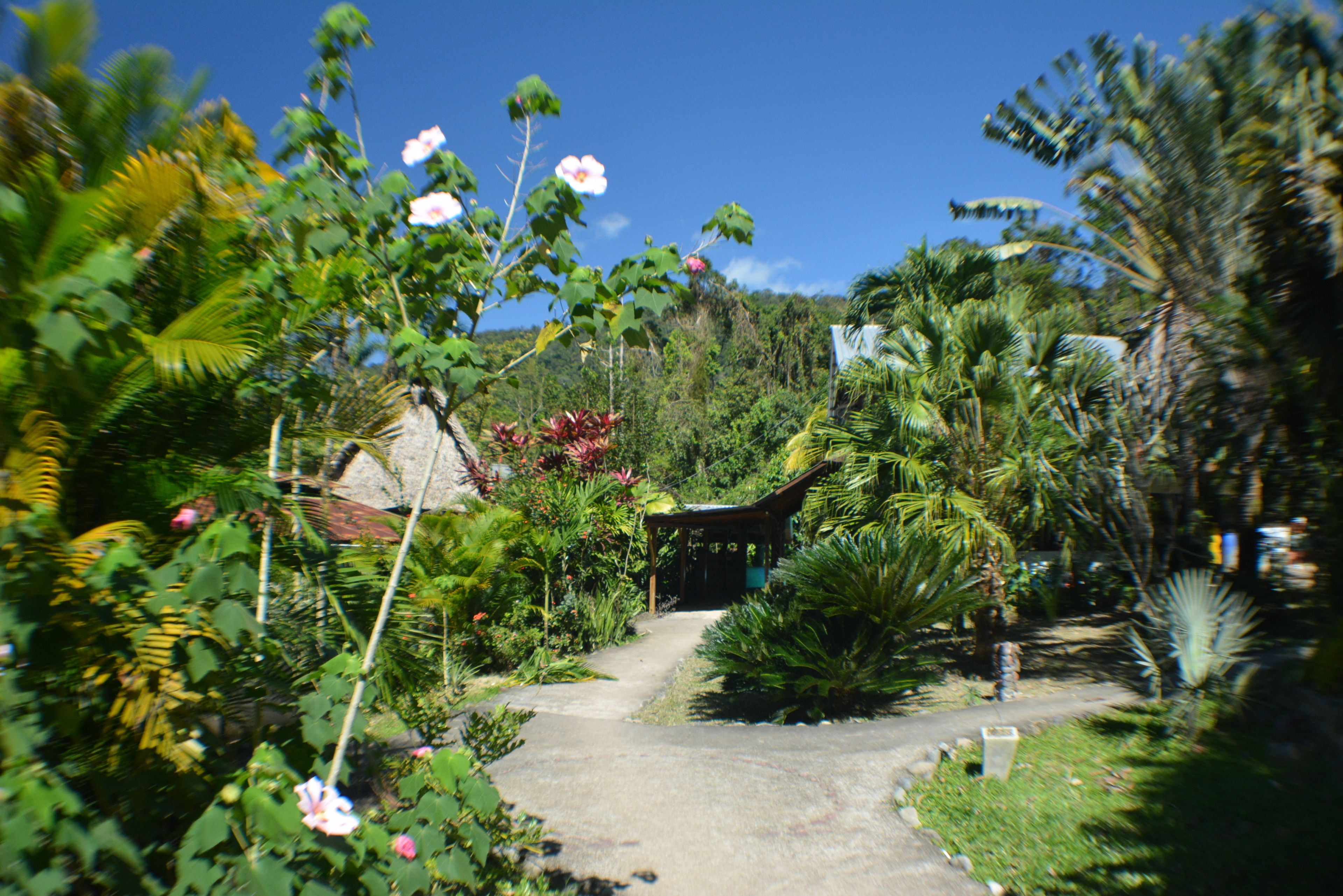 Photo - Omega Tours Eco-Jungle Lodge