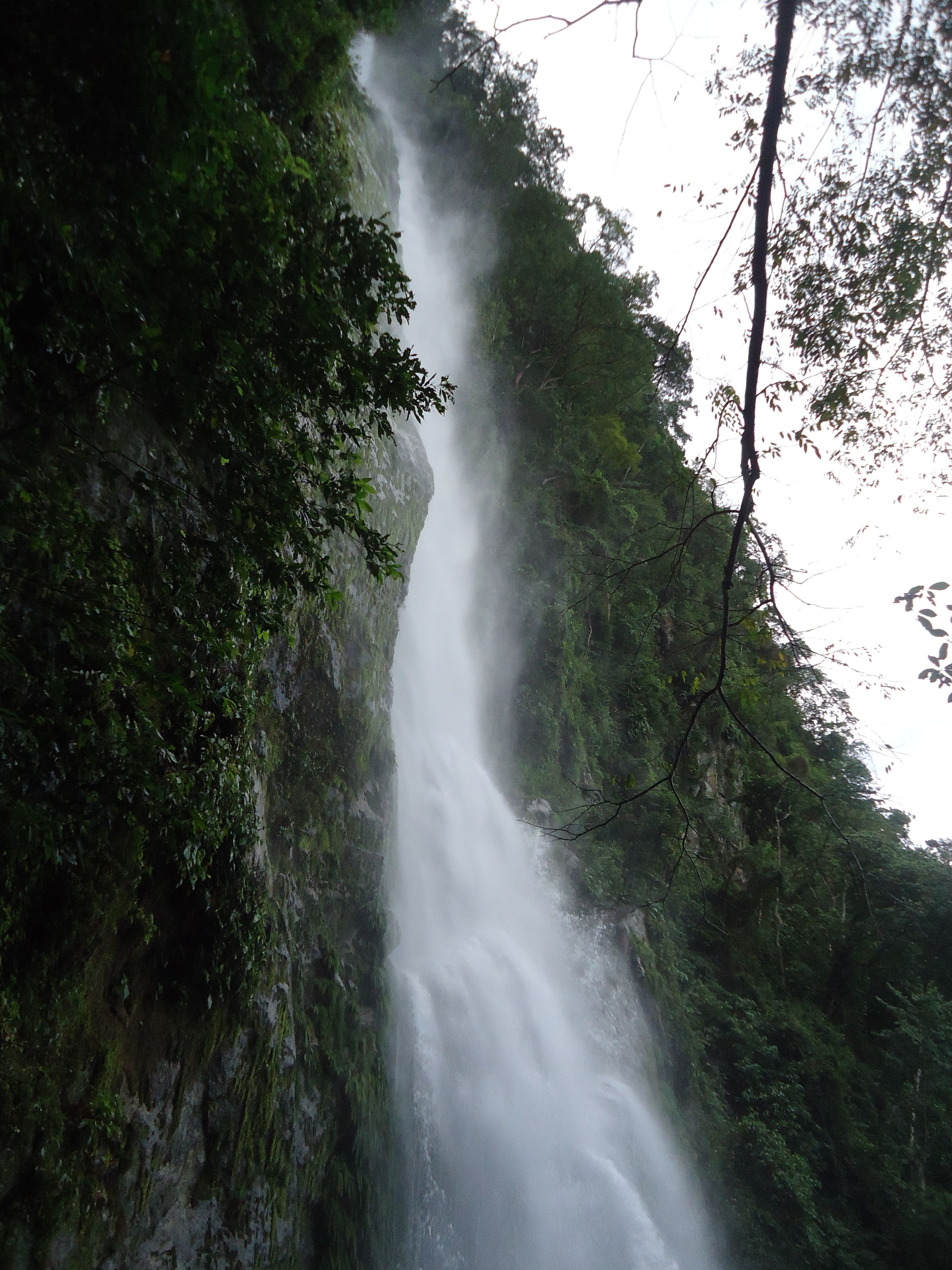 Photo - Omega Tours Eco-Jungle Lodge