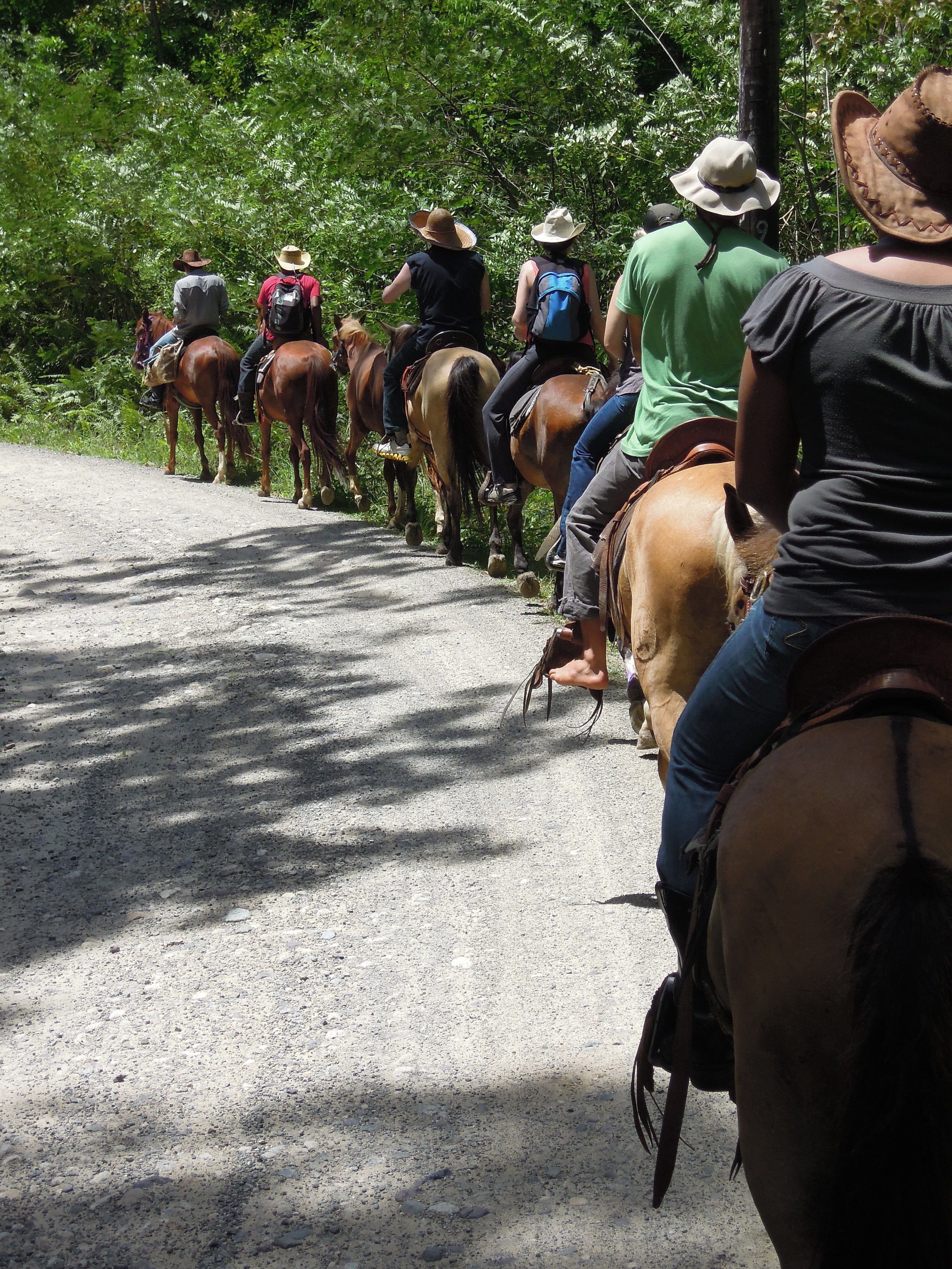 A group of people riding horses on a dirt road surrounded by greenery.