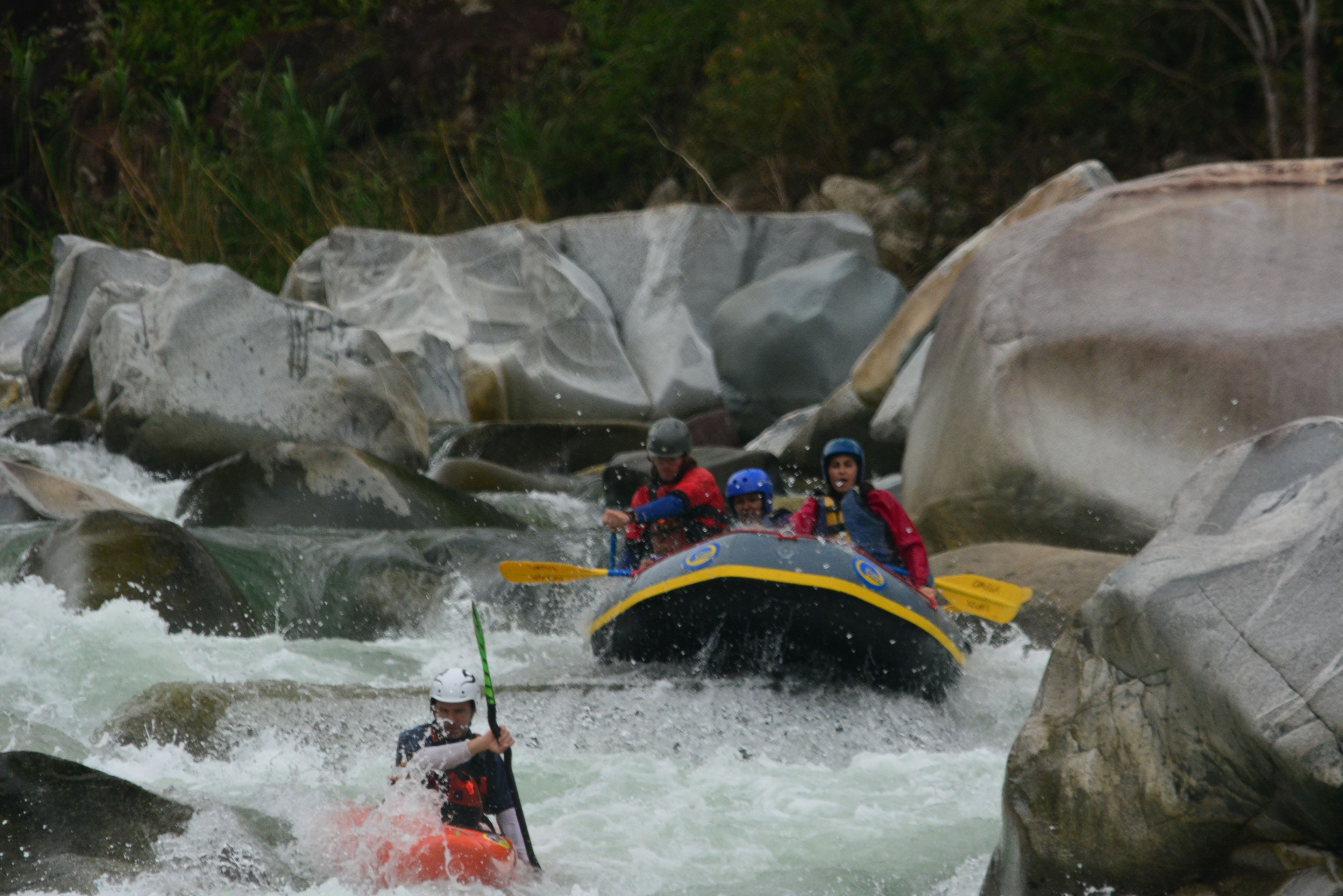 Photo - Omega Tours Eco-Jungle Lodge