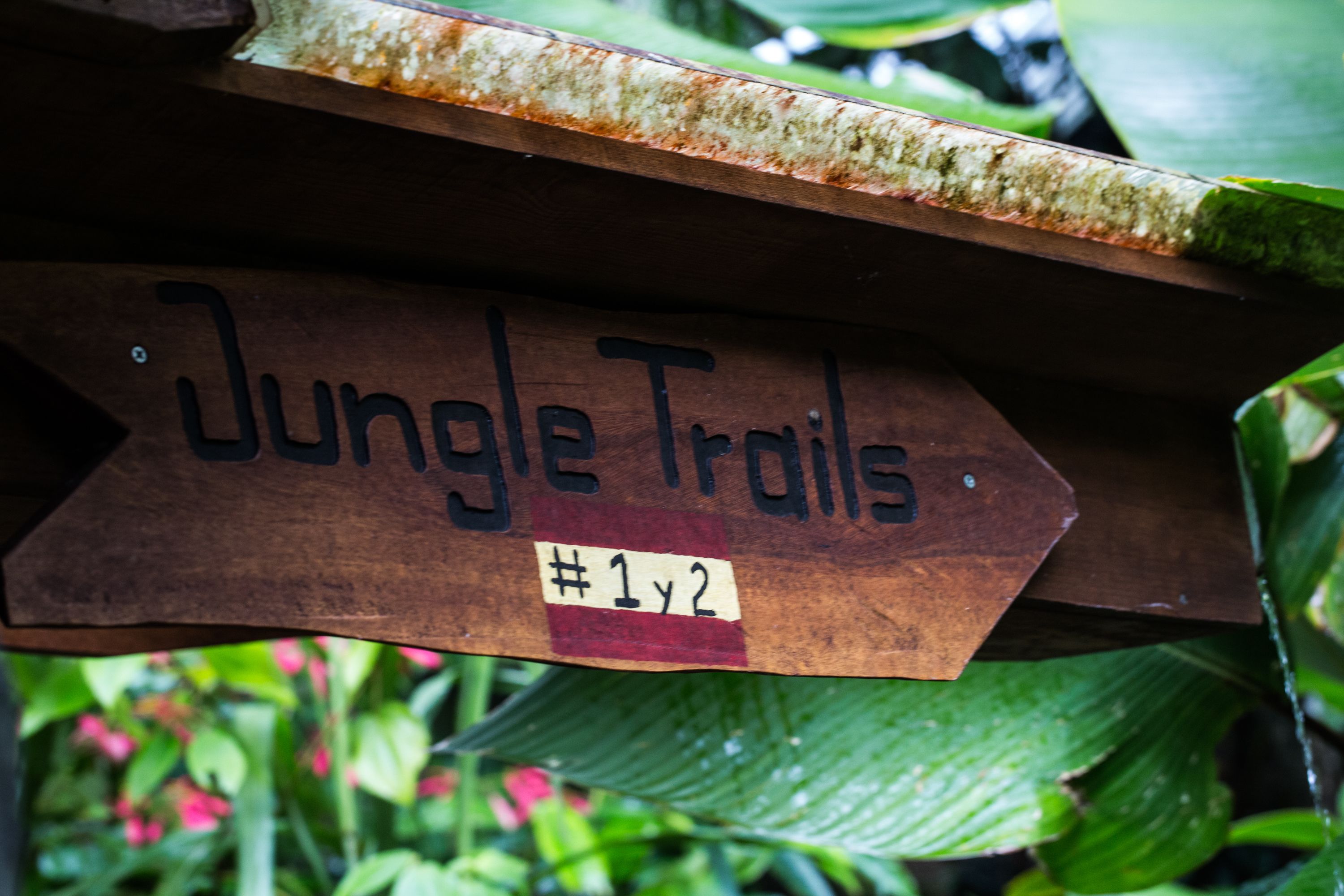 A wooden sign with the text "Jungle Trails" and a number "#1y2" indicating a specific location or section.