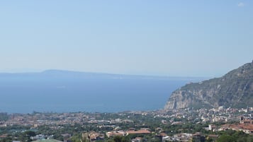 Chambre Supérieure Double ou avec lits jumeaux, vue jardin