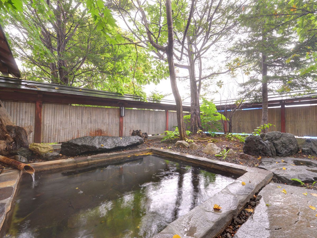 Un jardín japonés tradicional con un estanque de carpas, un puente de madera y faroles de piedra.