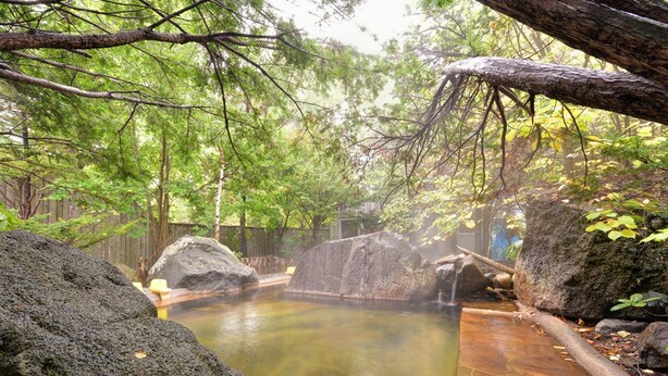 Un área de aguas termales naturales con un puente de madera, rocas y árboles.