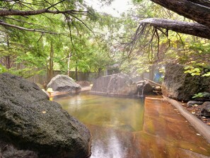 Un área de aguas termales naturales con un puente de madera, rocas y árboles.