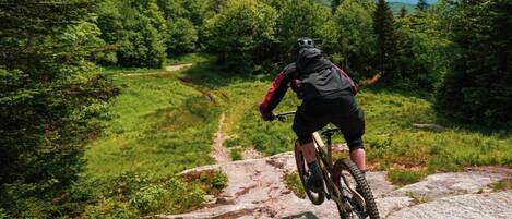 A mountain biker on a rocky trail surrounded by dense forest.