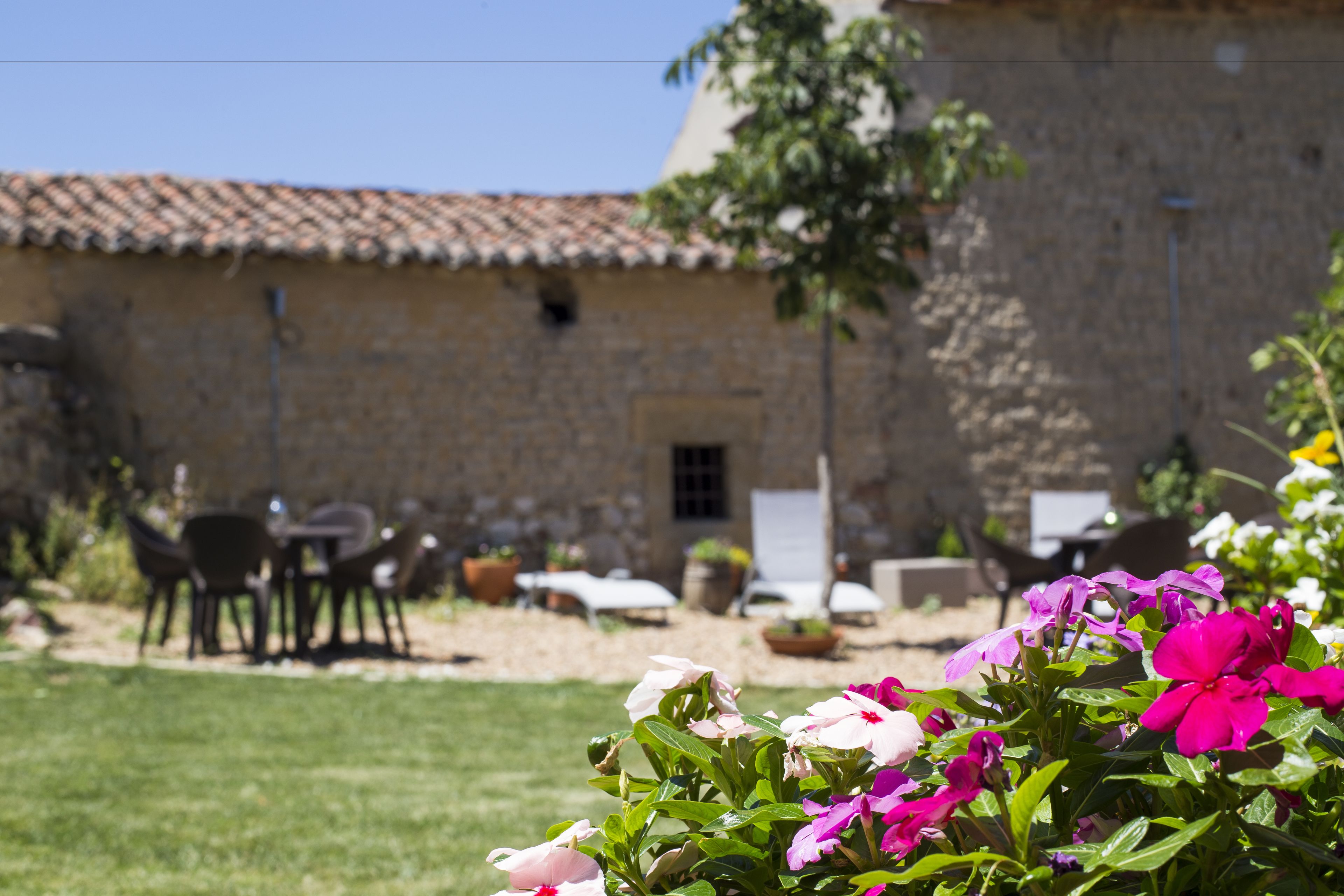 Foto - Posada Real del Buen Camino, alojamiento rural