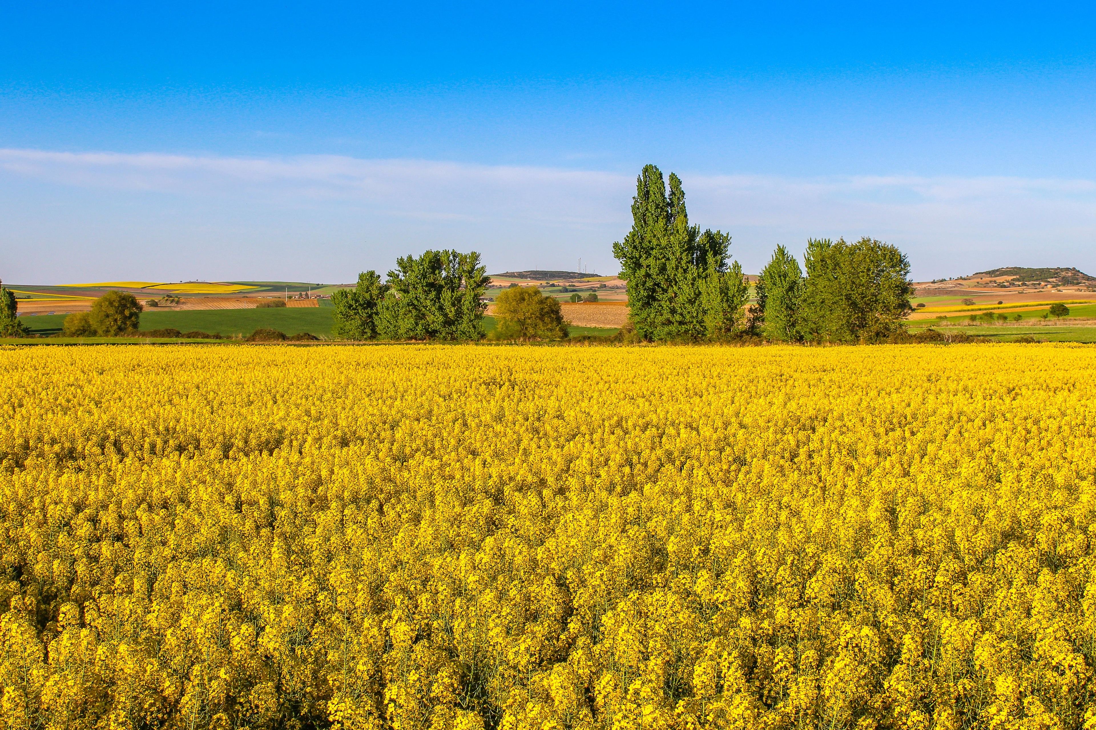 Foto - Posada Real del Buen Camino, alojamiento rural