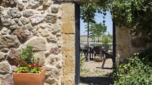 A stone wall with a potted plant and a view of an outdoor seating area with chairs and tables. - Posada Real del Buen Camino (Villanueva de Campean)
