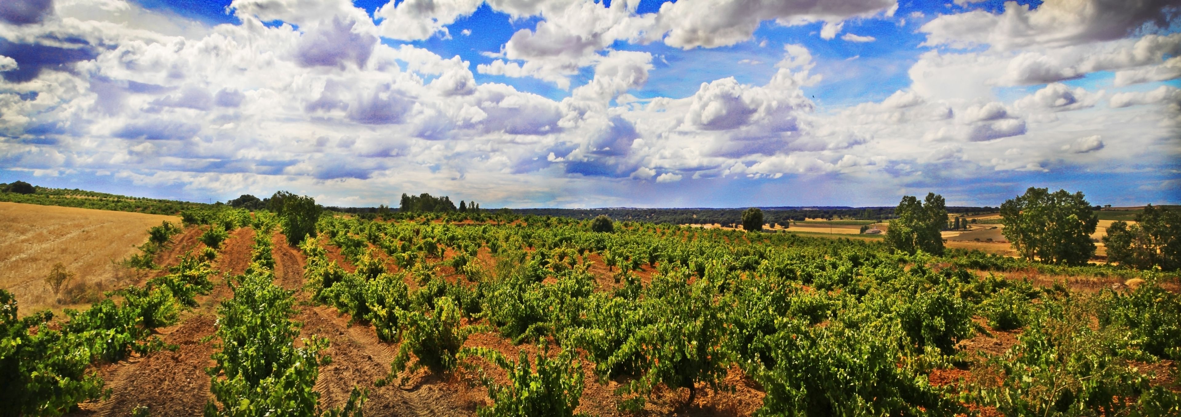 Foto - Posada Real del Buen Camino, alojamiento rural