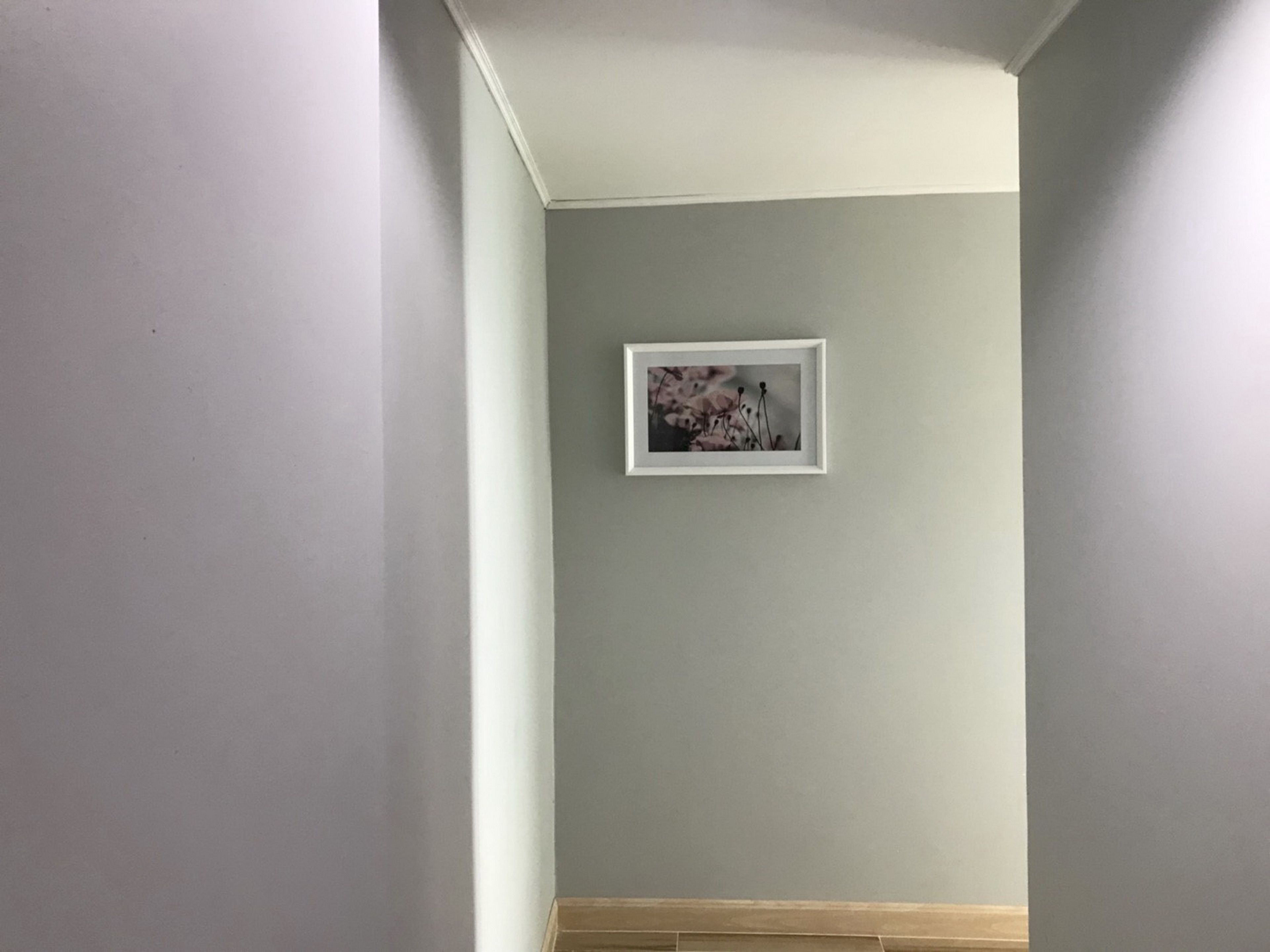 A corner of a room with a light gray wall, a framed picture, and a wooden baseboard.